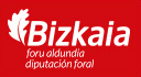 Diputación Foral de Bizkaia